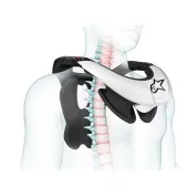 Chránič krku Alpinestars BNS Tech-2 black/cool grey