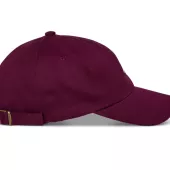 Kšiltovka 2025 Alpinestars Deduce Strapback "dad" burgundy