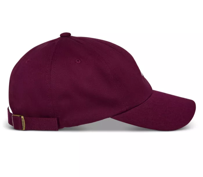 Kšiltovka 2025 Alpinestars Deduce Strapback "dad" burgundy