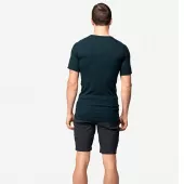 Pánské tričko Devold GO Lauparen Merino 190 Base Tee Ink