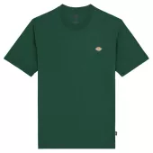 DICKIES Ss Mapleton t-shirt pine needle green
