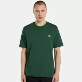 DICKIES Ss Mapleton t-shirt pine needle green