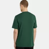 DICKIES Ss Mapleton t-shirt pine needle green