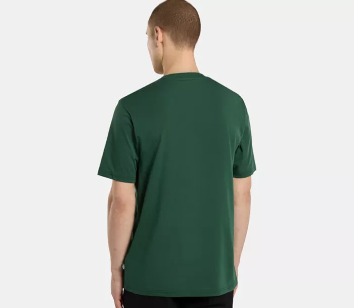 DICKIES Ss Mapleton t-shirt pine needle green