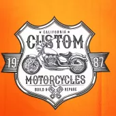 Pánské tričko Sparks Coyle orange