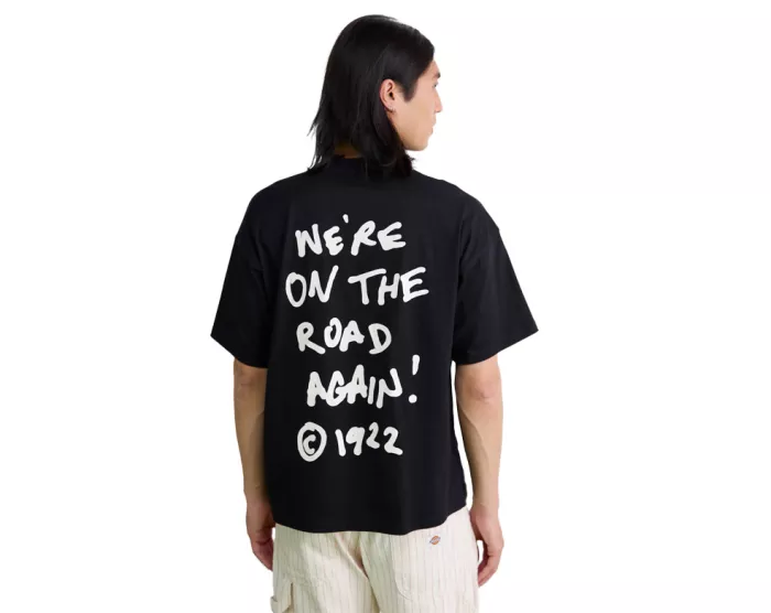 DICKIES Sneedville t-shirt black