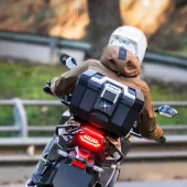 Vrchní kufr Shad Terra TR41 full black